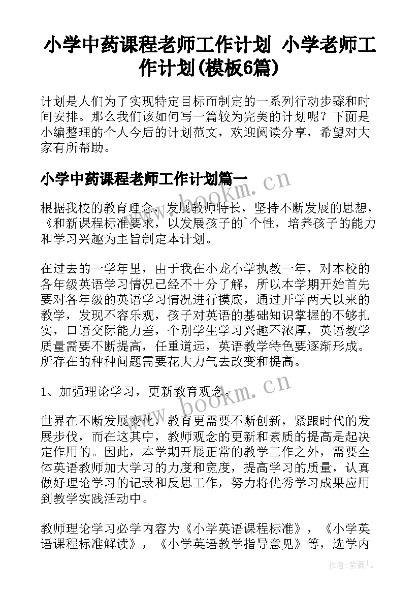 小学中药课程老师工作计划 小学老师工作计划(模板6篇)