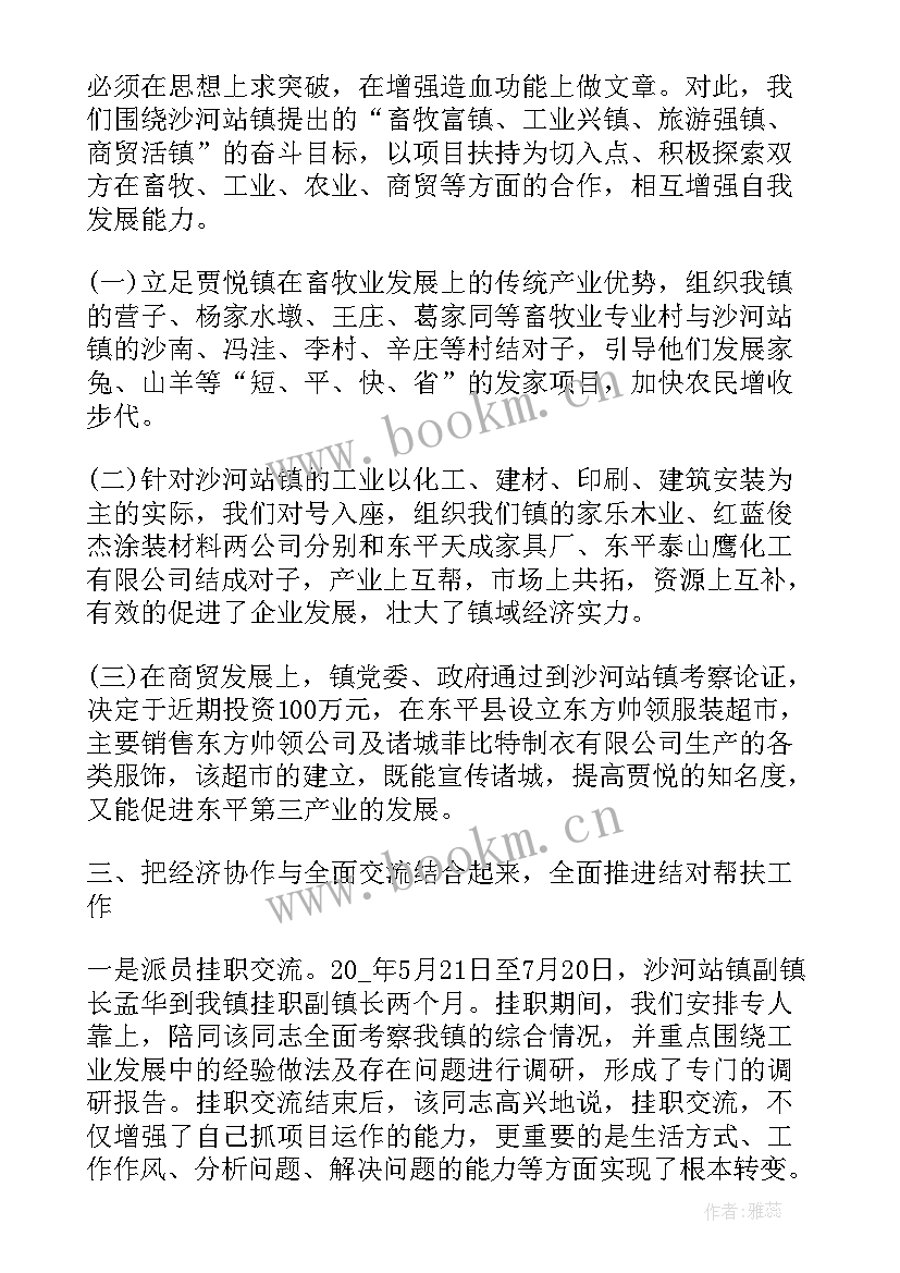 2023年帮扶工作总结报告(模板6篇)