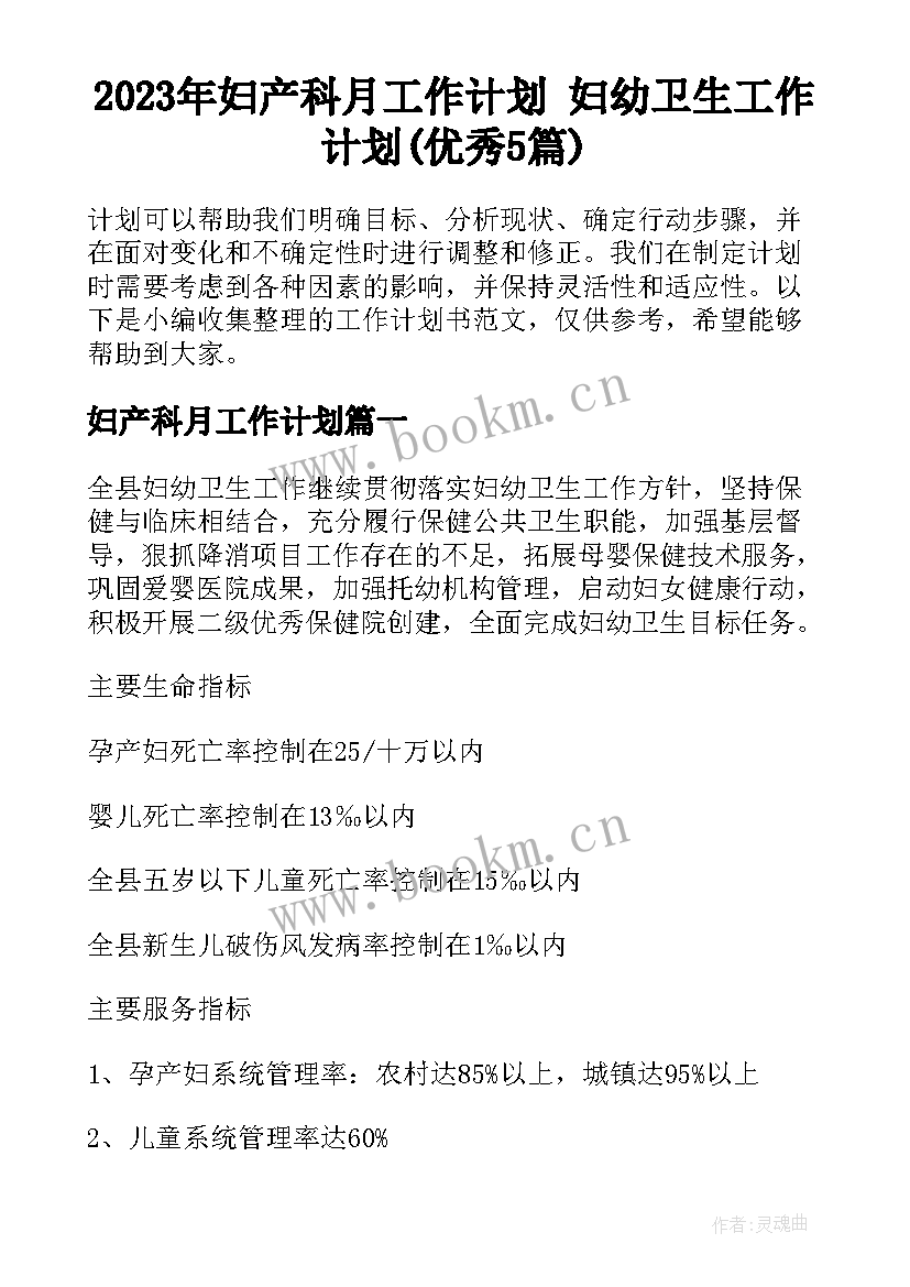 2023年妇产科月工作计划 妇幼卫生工作计划(优秀5篇)