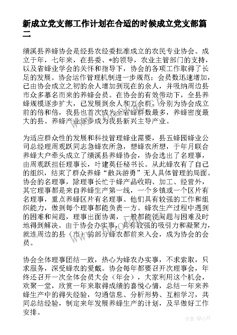 2023年新成立党支部工作计划在合适的时候成立党支部(大全5篇)