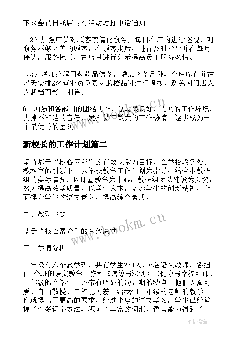 2023年新校长的工作计划 店长的工作计划(精选5篇)