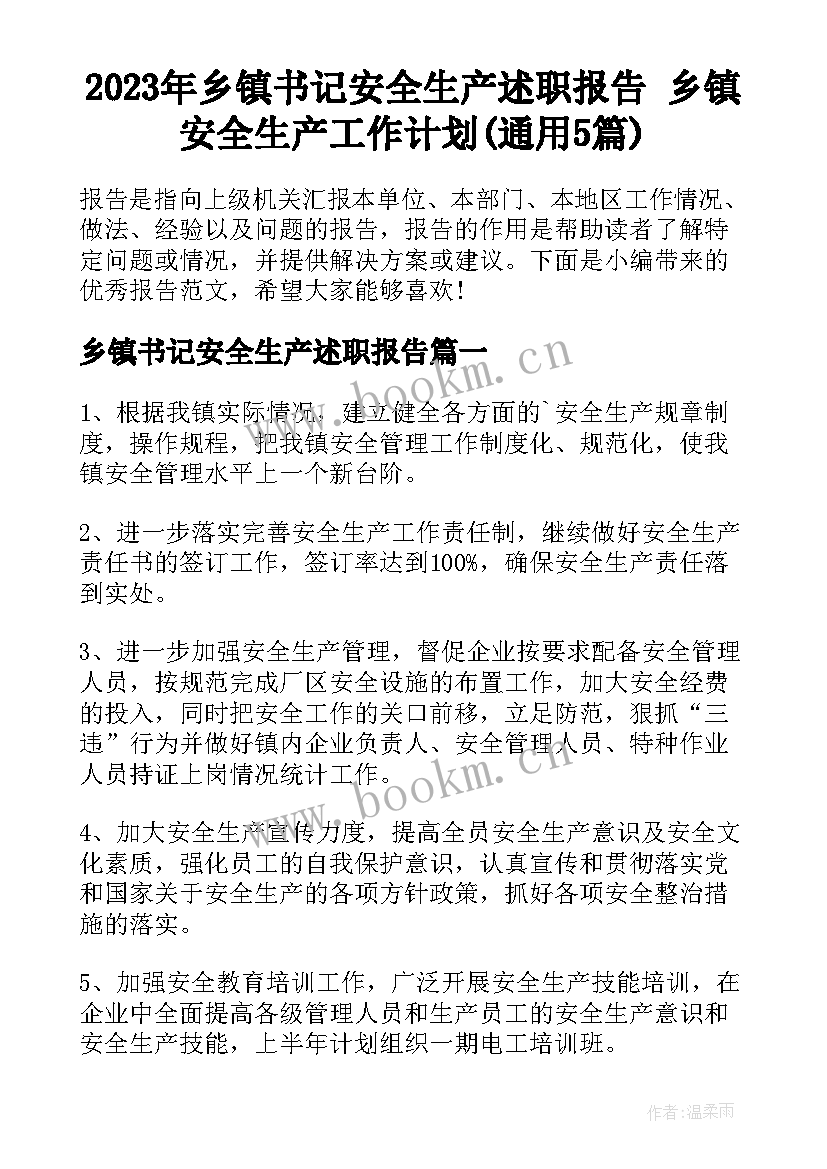 2023年乡镇书记安全生产述职报告 乡镇安全生产工作计划(通用5篇)