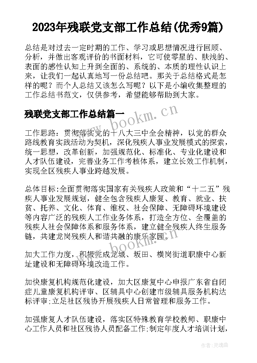 2023年残联党支部工作总结(优秀9篇)