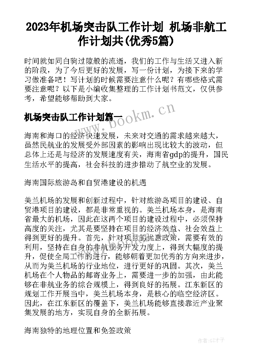 2023年机场突击队工作计划 机场非航工作计划共(优秀5篇)