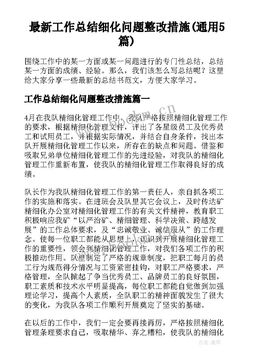 最新工作总结细化问题整改措施(通用5篇)