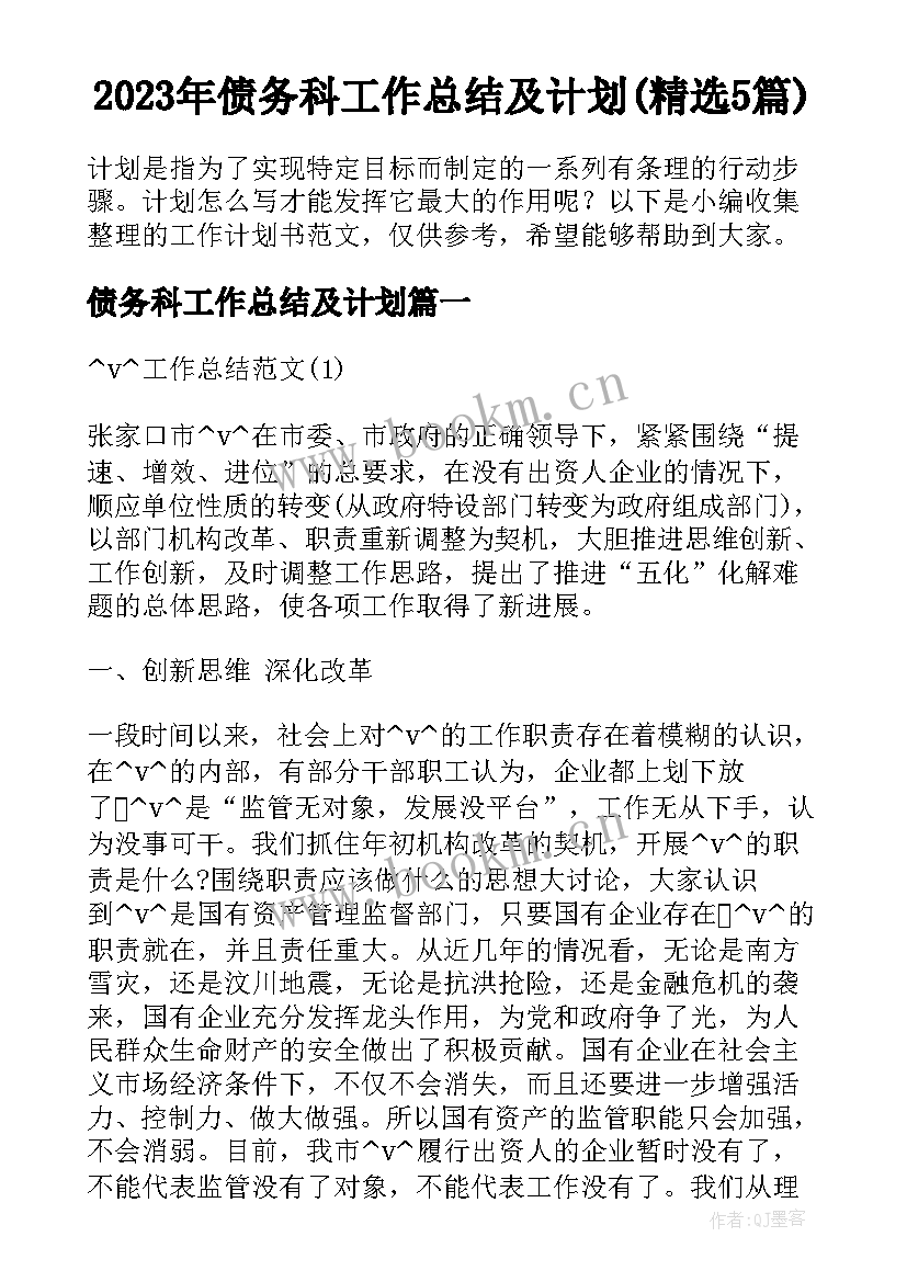 2023年债务科工作总结及计划(精选5篇)