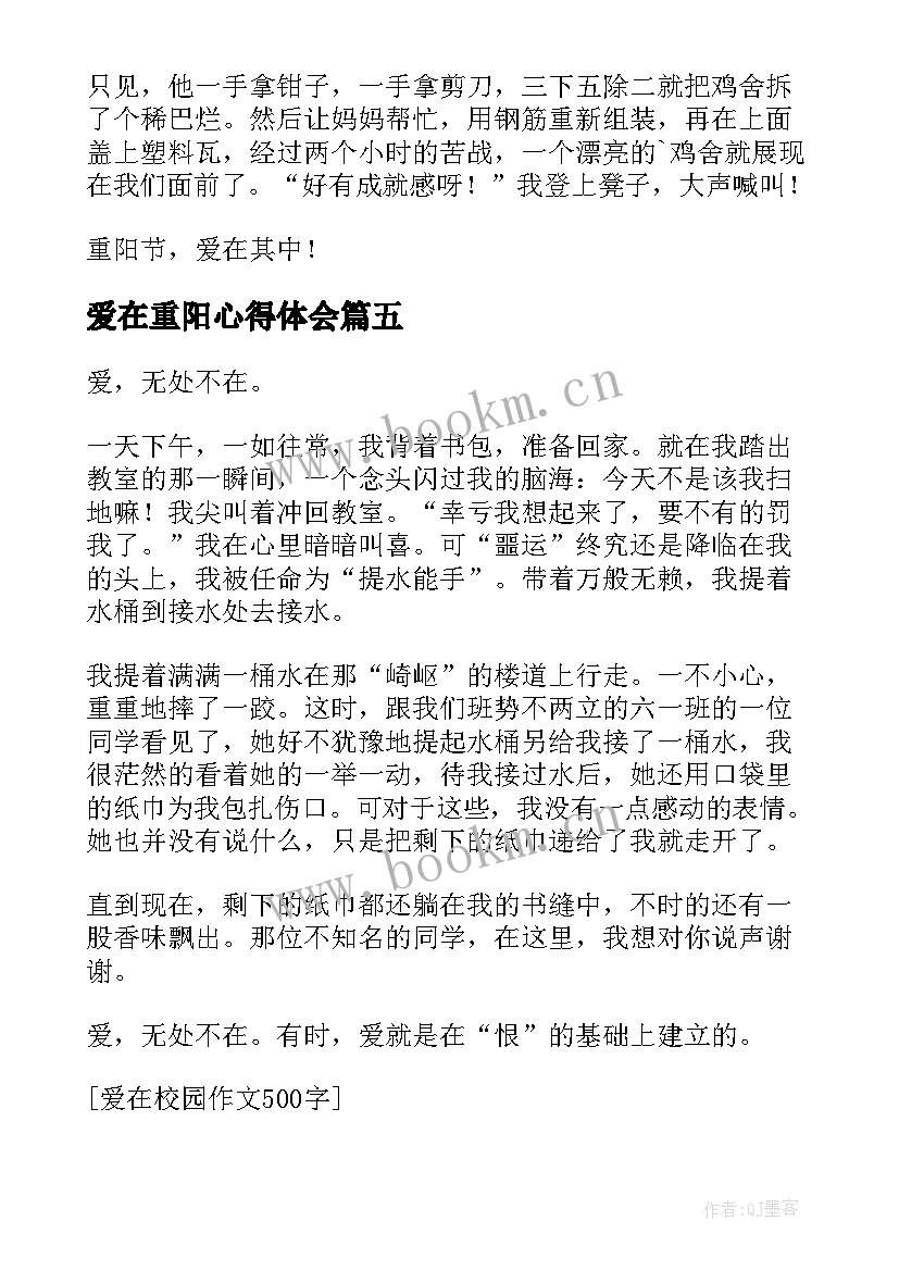 爱在重阳心得体会(通用10篇)