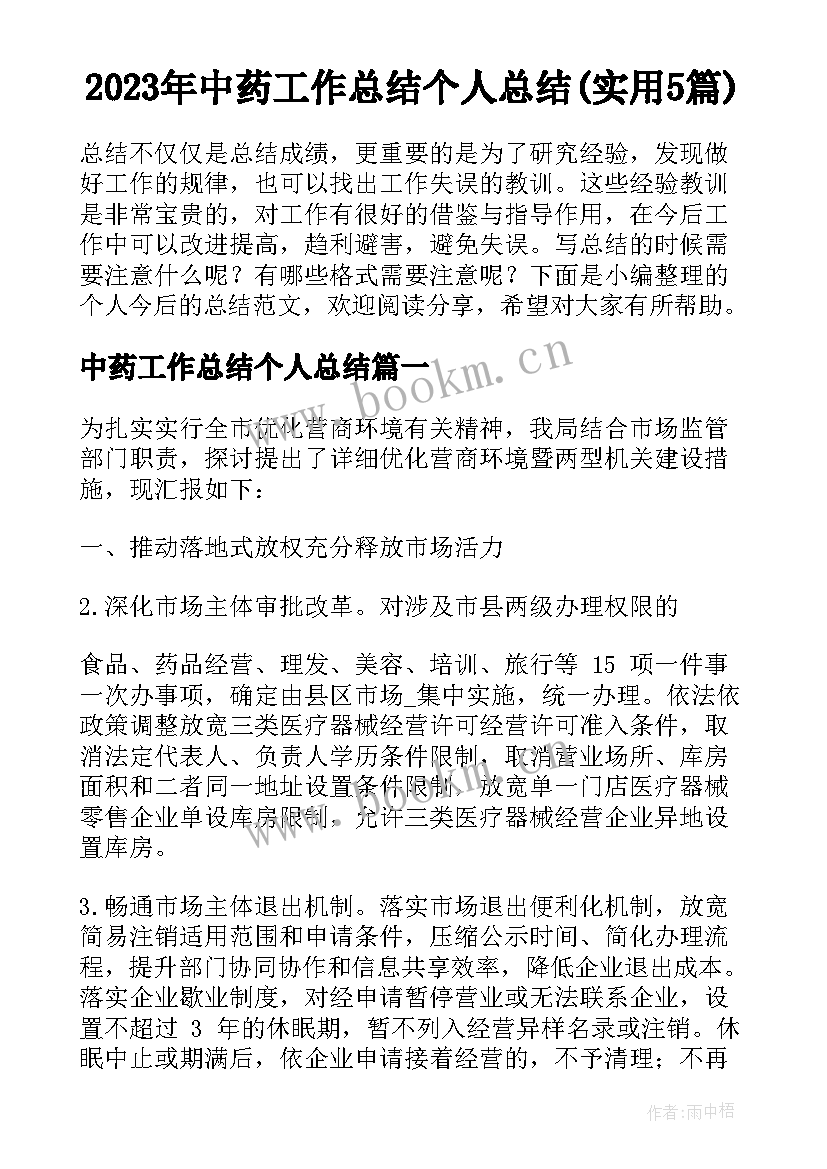 2023年中药工作总结个人总结(实用5篇)