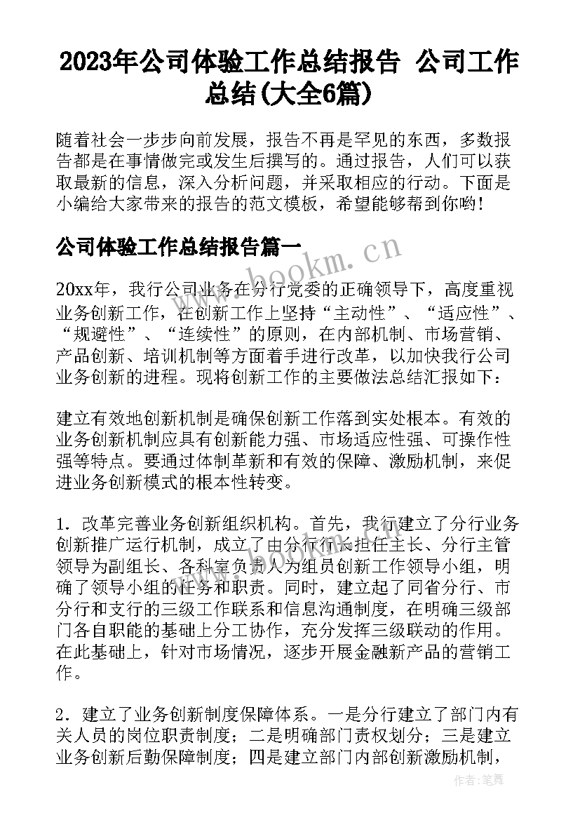 2023年公司体验工作总结报告 公司工作总结(大全6篇)