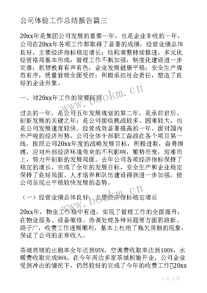 2023年公司体验工作总结报告 公司工作总结(大全6篇)