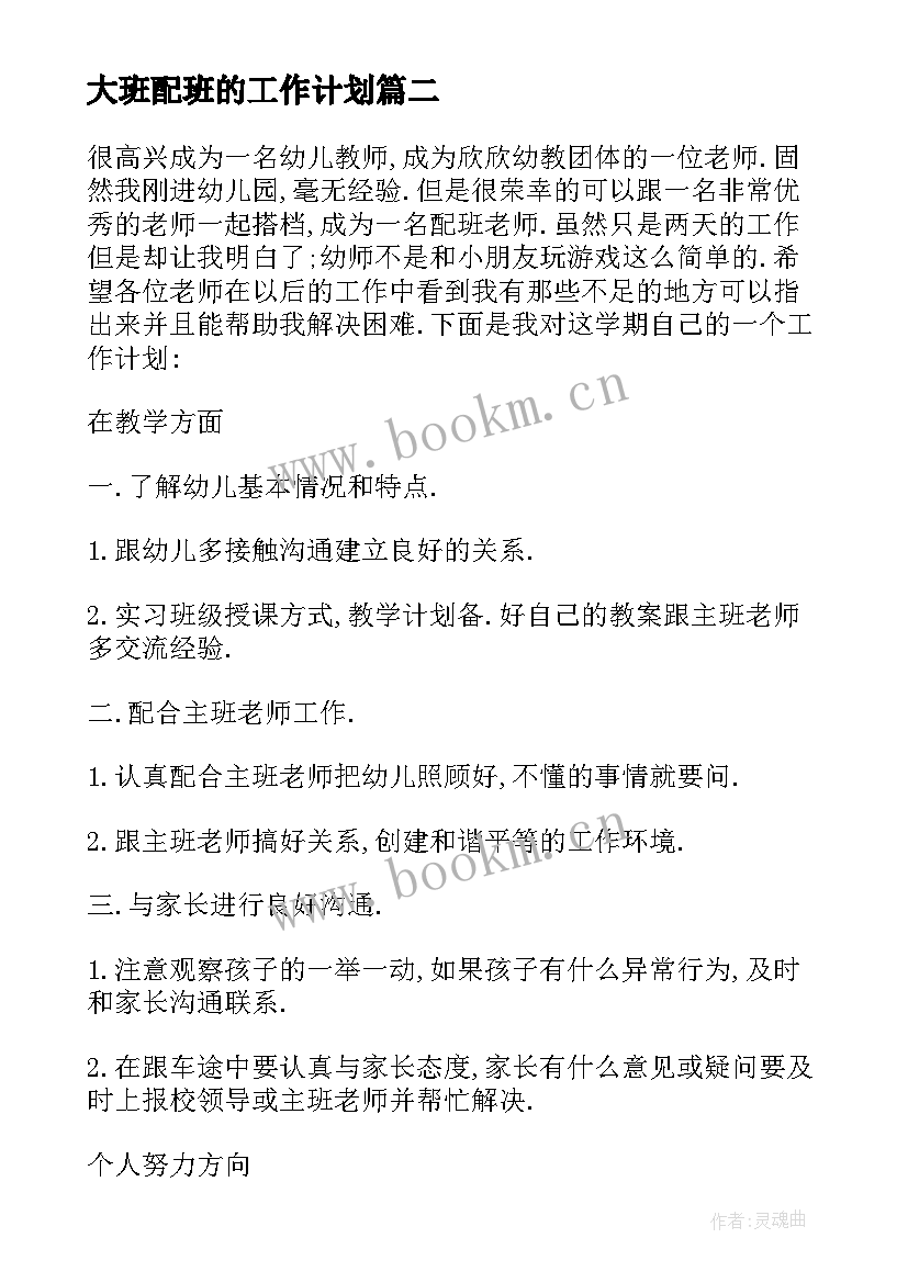 最新大班配班的工作计划(汇总5篇)