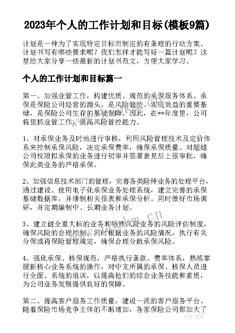 2023年个人的工作计划和目标(模板9篇)