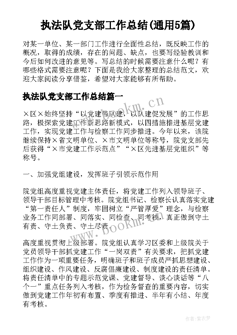 执法队党支部工作总结(通用5篇)