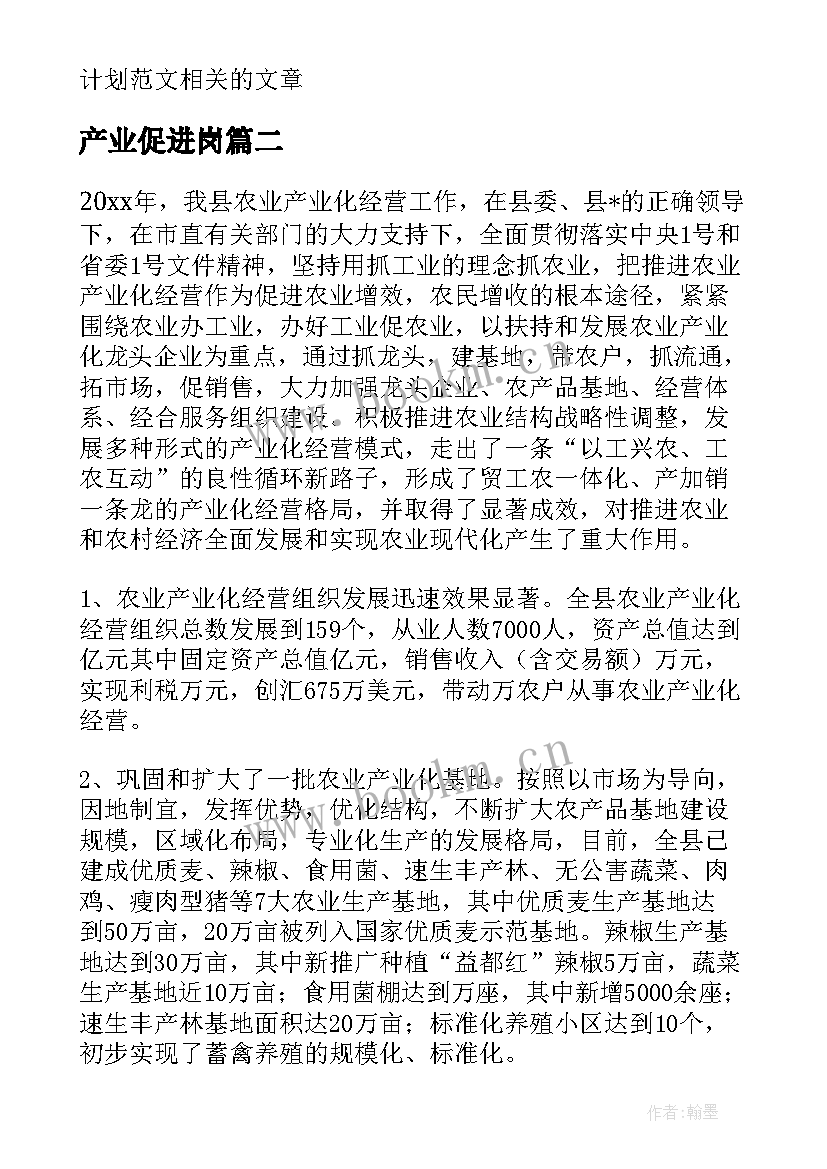 2023年产业促进岗 产业功能区工作计划(精选7篇)