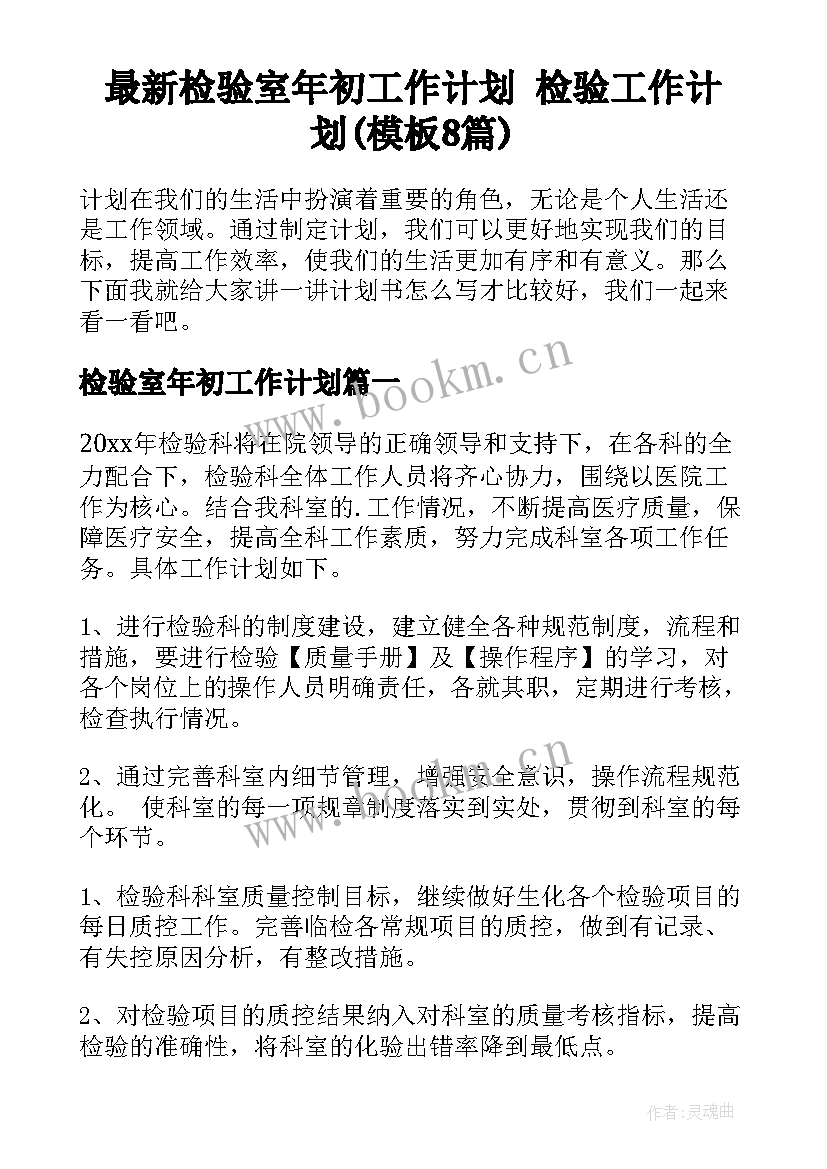 最新检验室年初工作计划 检验工作计划(模板8篇)