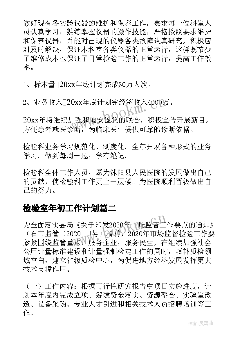 最新检验室年初工作计划 检验工作计划(模板8篇)