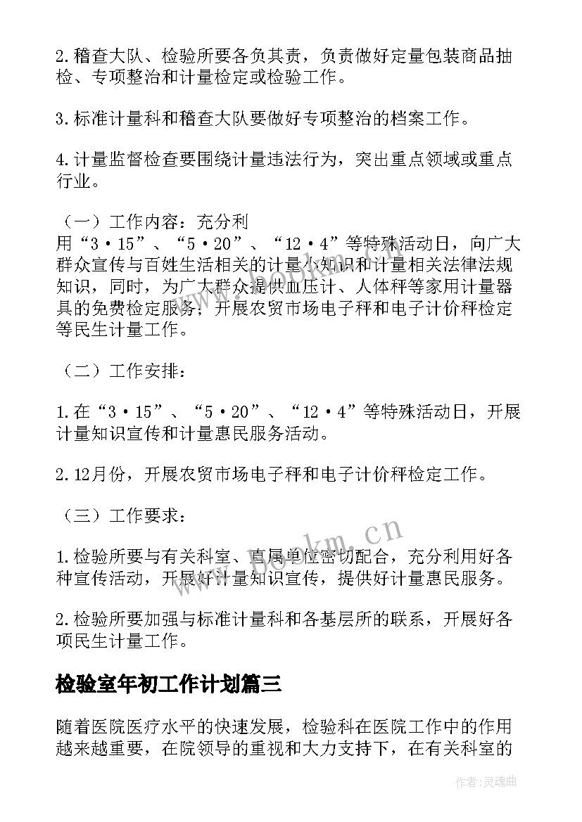 最新检验室年初工作计划 检验工作计划(模板8篇)