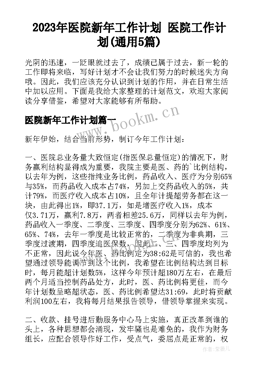 2023年医院新年工作计划 医院工作计划(通用5篇)