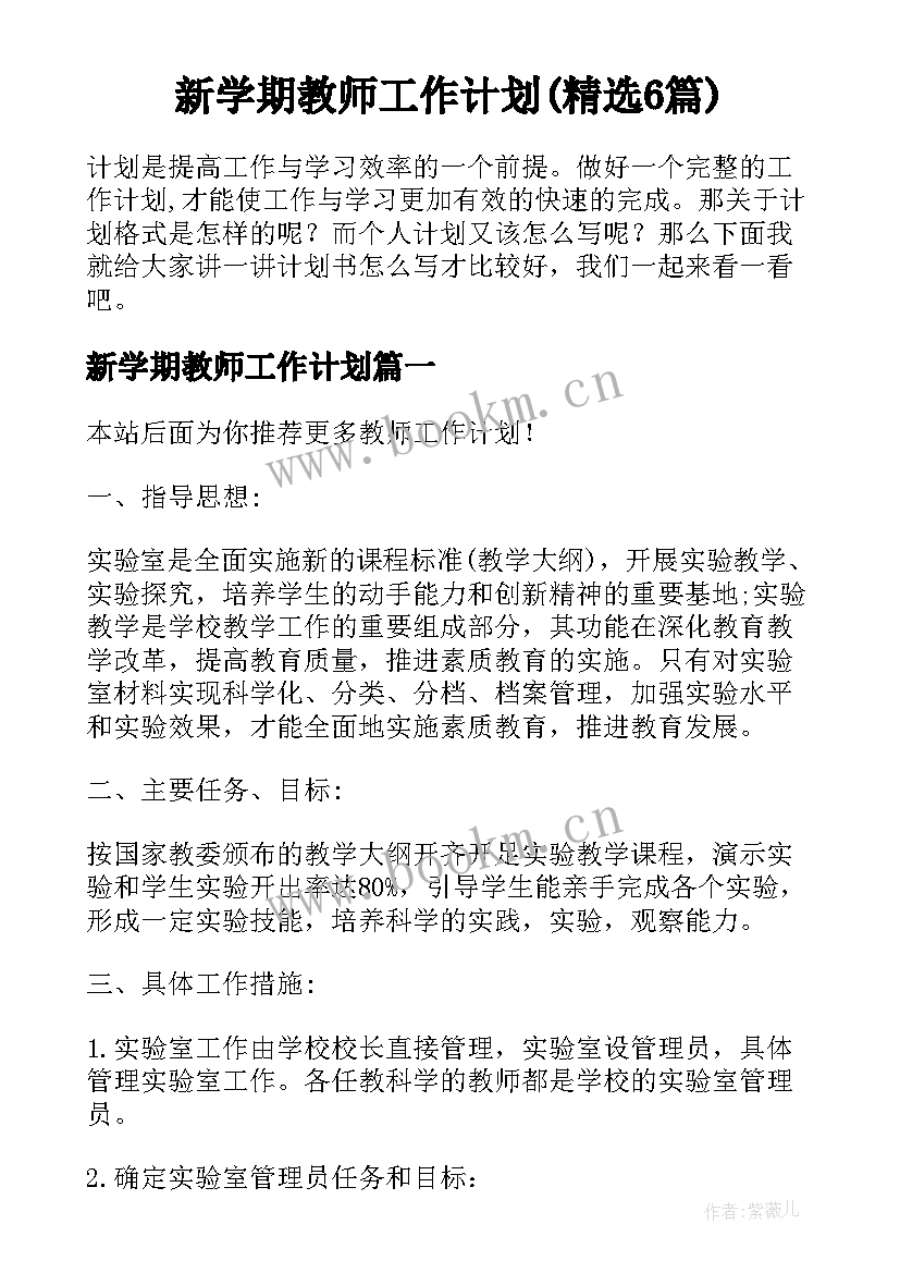 新学期教师工作计划(精选6篇)