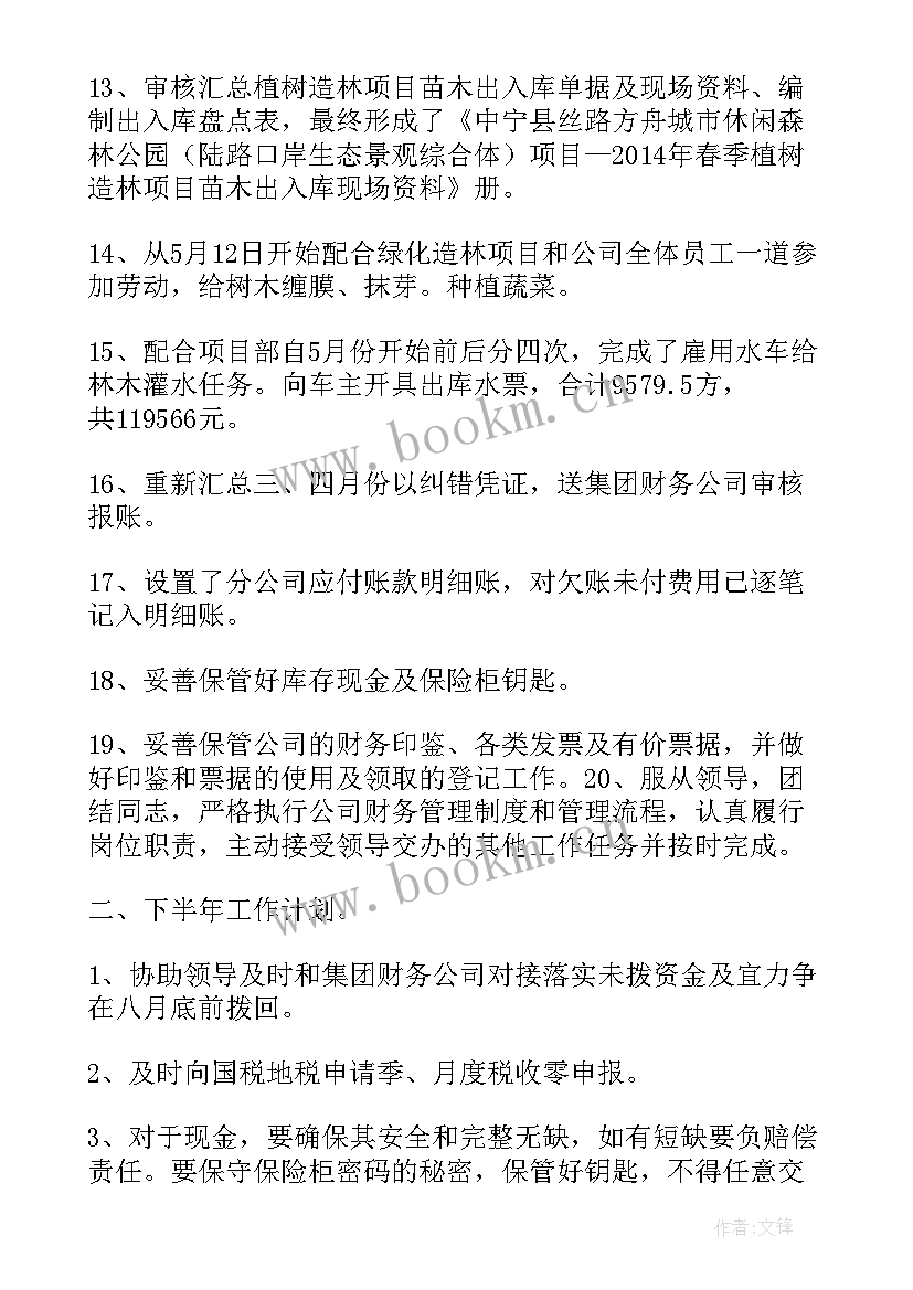 2023年出纳半年度工作总结和计划 上半年出纳的工作总结出纳(通用7篇)