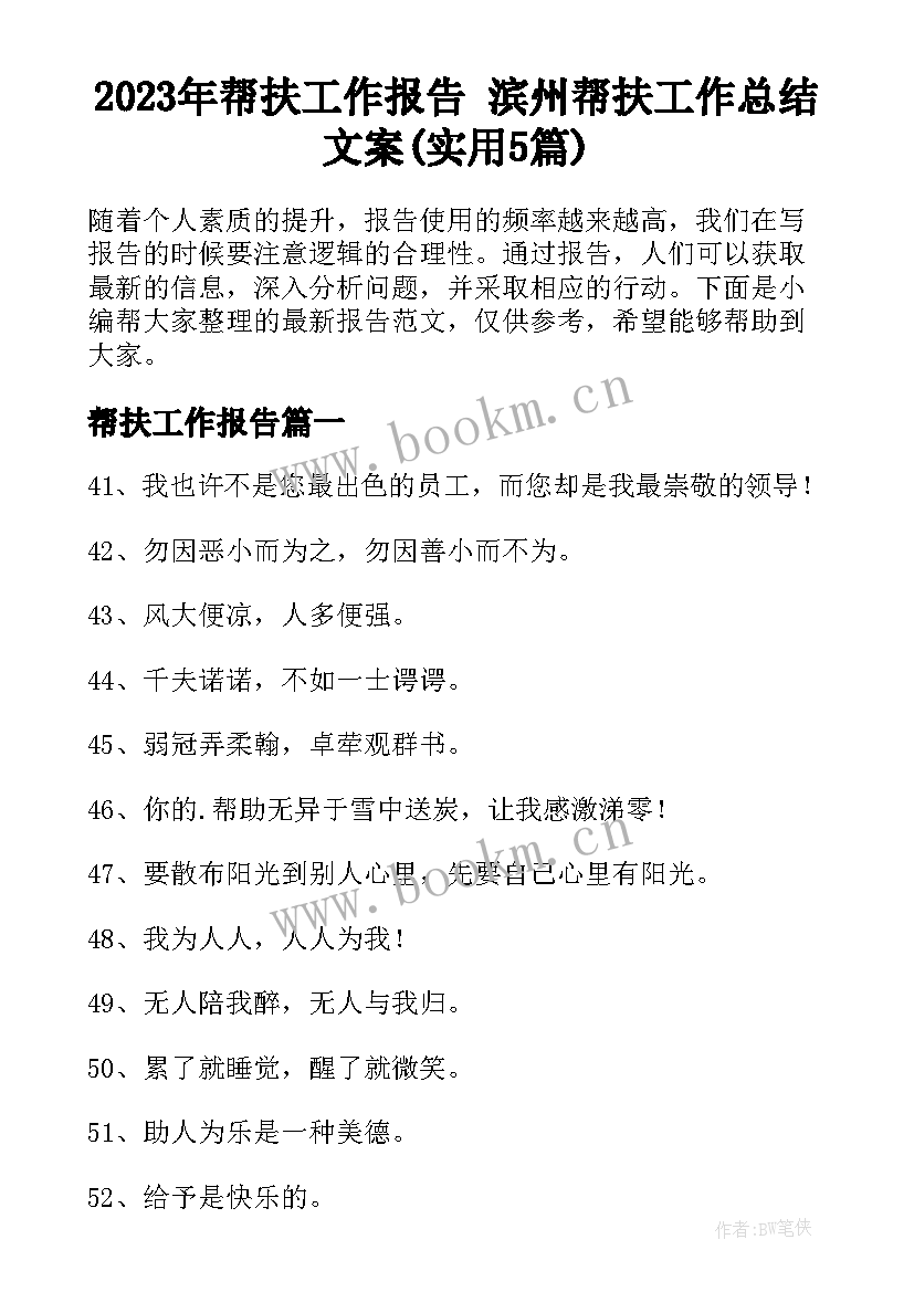 2023年帮扶工作报告 滨州帮扶工作总结文案(实用5篇)