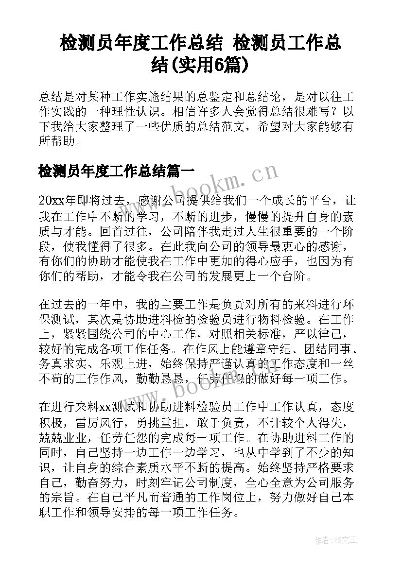 检测员年度工作总结 检测员工作总结(实用6篇)