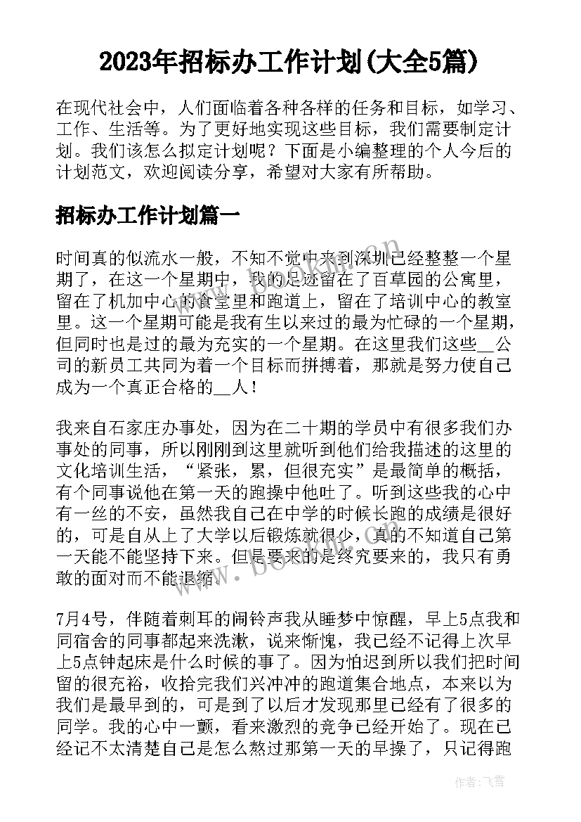 2023年招标办工作计划(大全5篇)