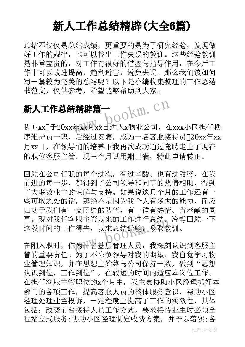 新人工作总结精辟(大全6篇)