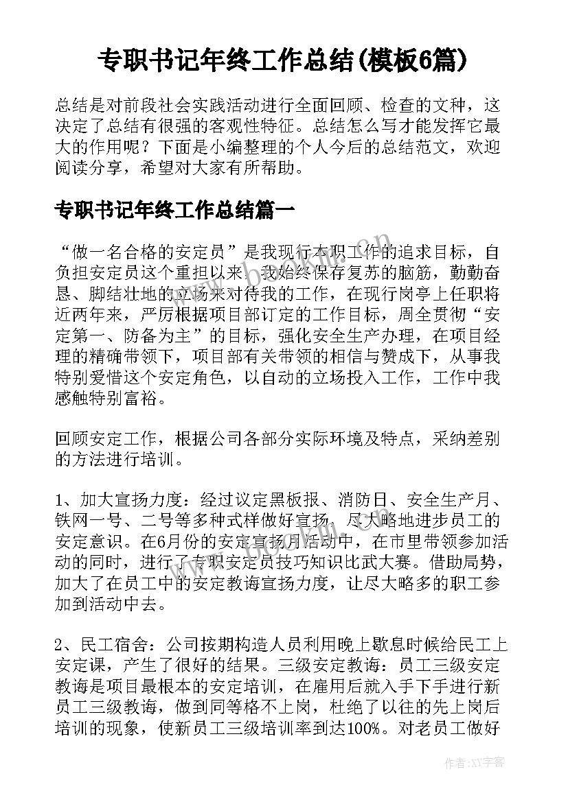 专职书记年终工作总结(模板6篇)