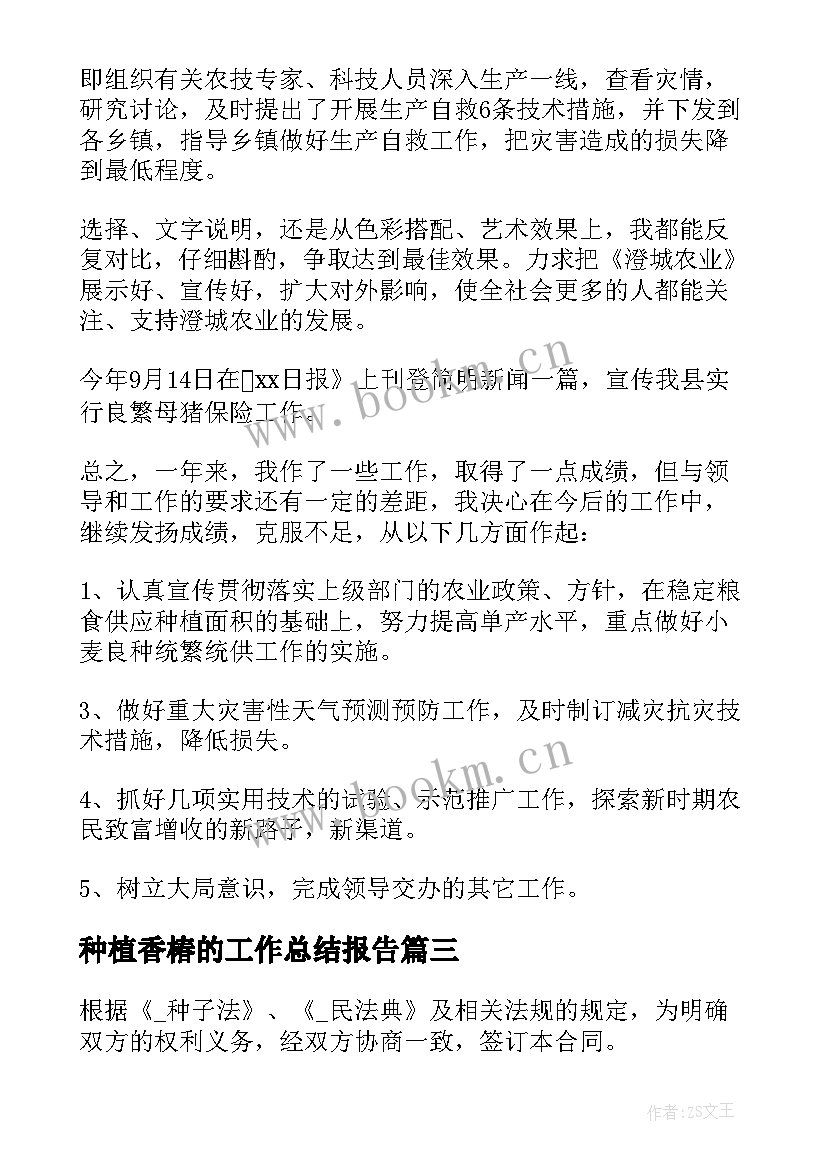 2023年种植香椿的工作总结报告(实用5篇)