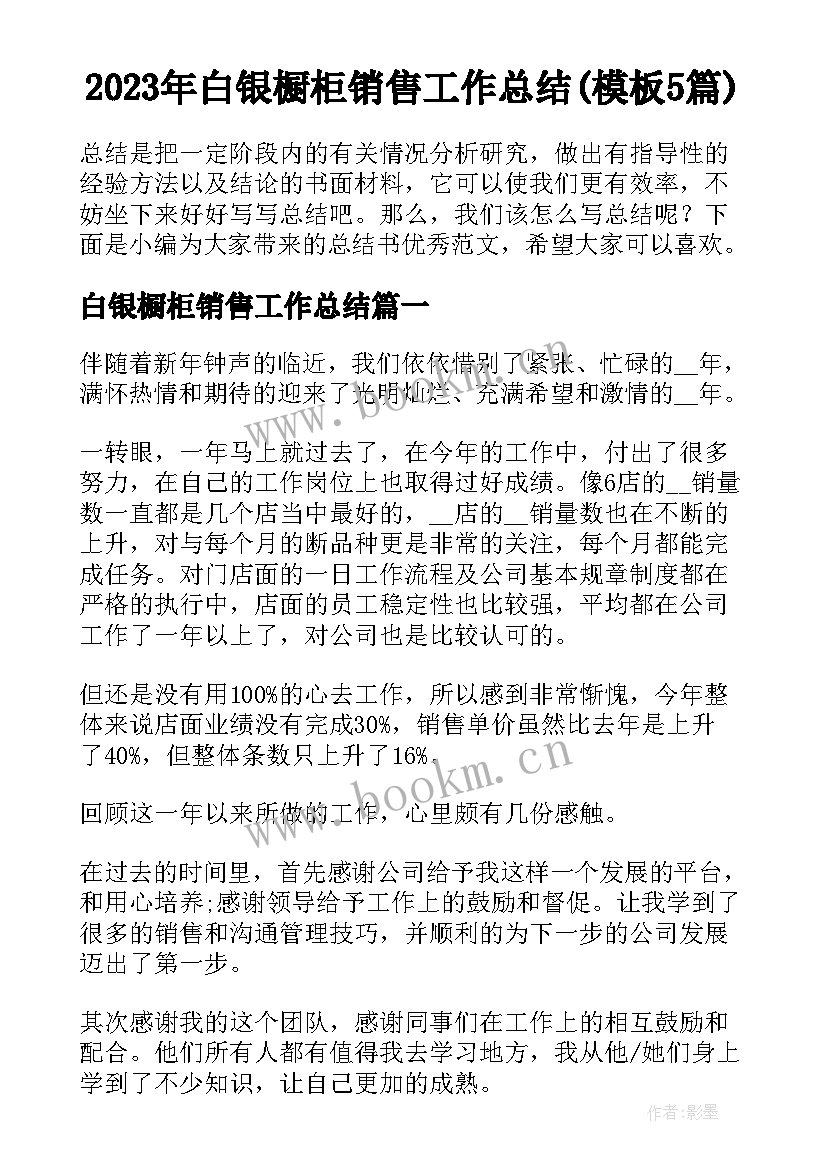 2023年白银橱柜销售工作总结(模板5篇)