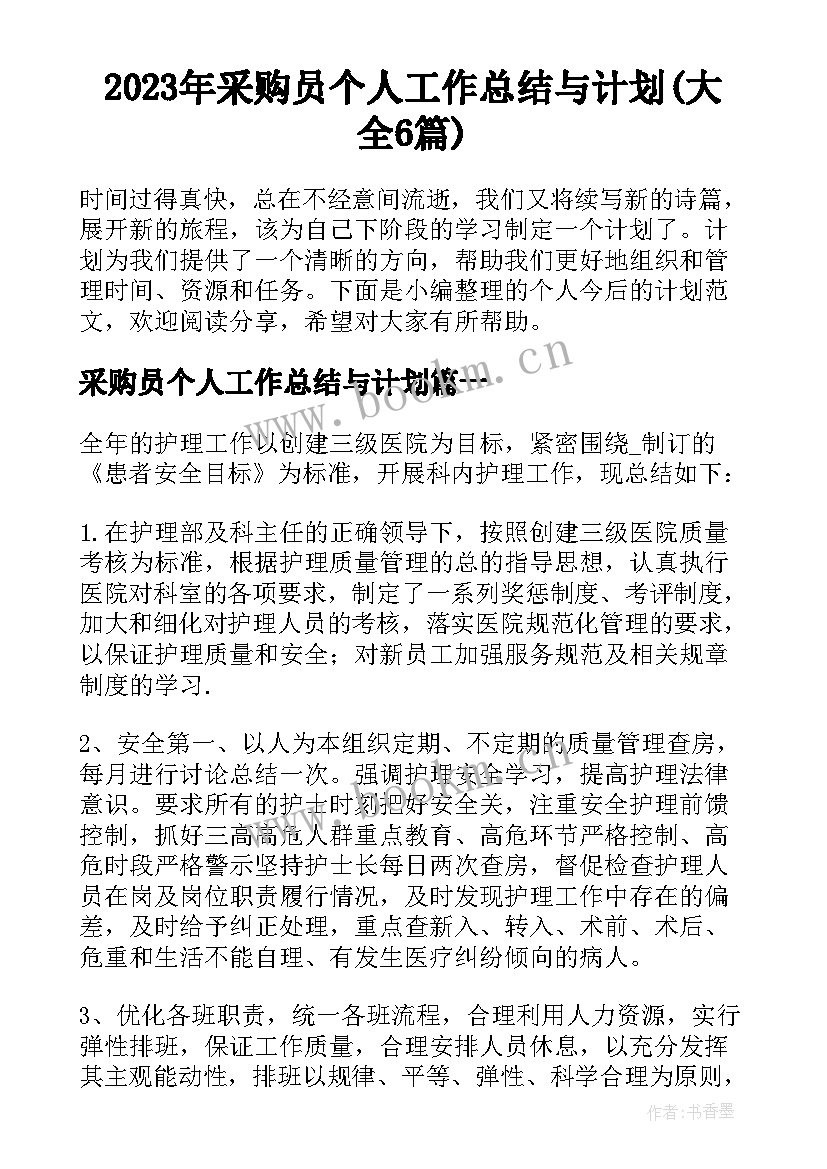 2023年采购员个人工作总结与计划(大全6篇)