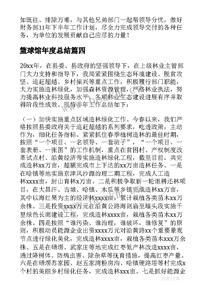 2023年篮球馆年度总结(精选7篇)