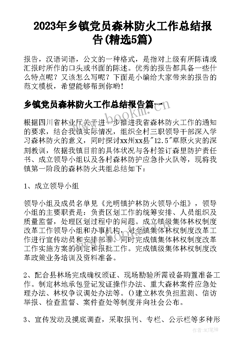 2023年乡镇党员森林防火工作总结报告(精选5篇)