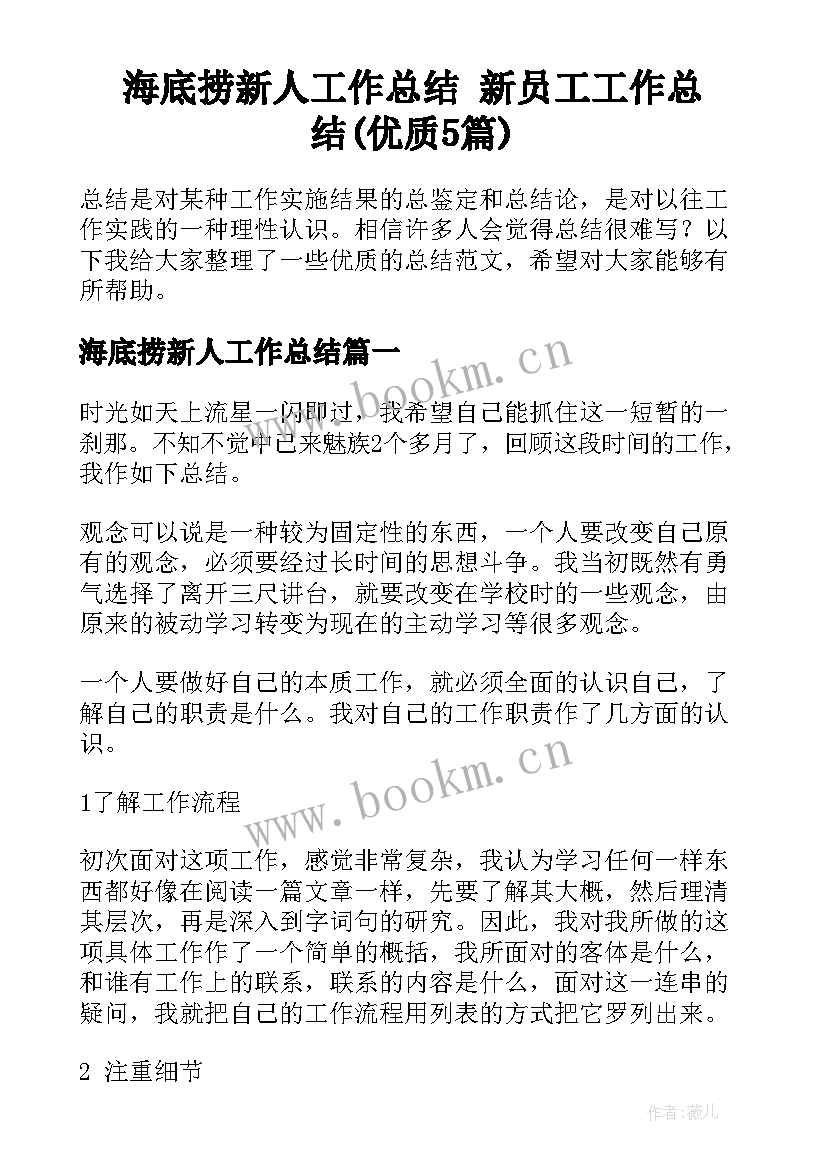 海底捞新人工作总结 新员工工作总结(优质5篇)