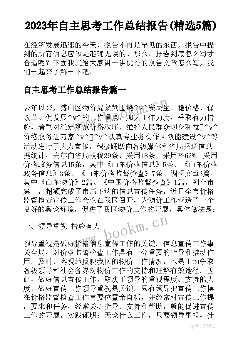 2023年自主思考工作总结报告(精选5篇)