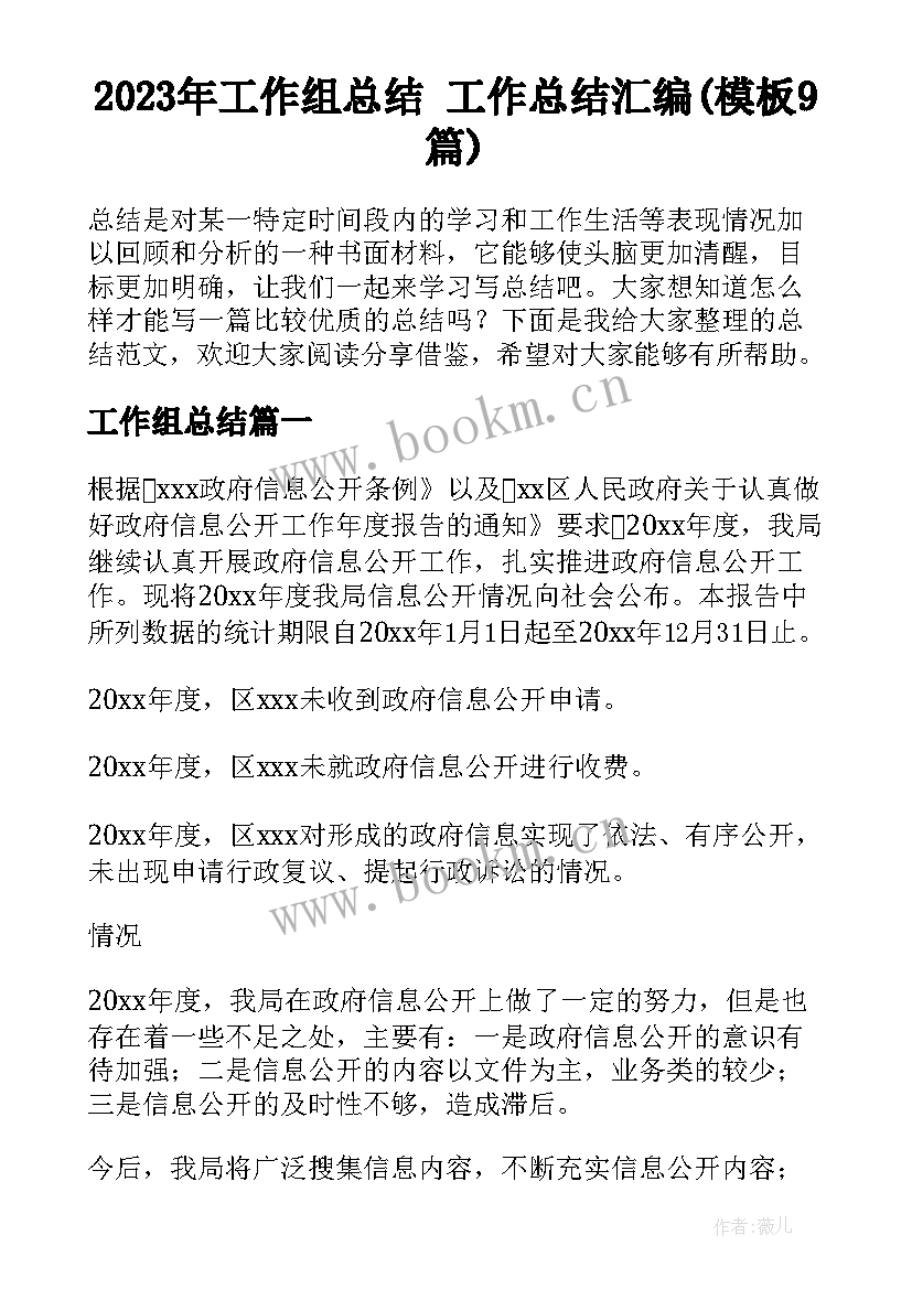 2023年工作组总结 工作总结汇编(模板9篇)