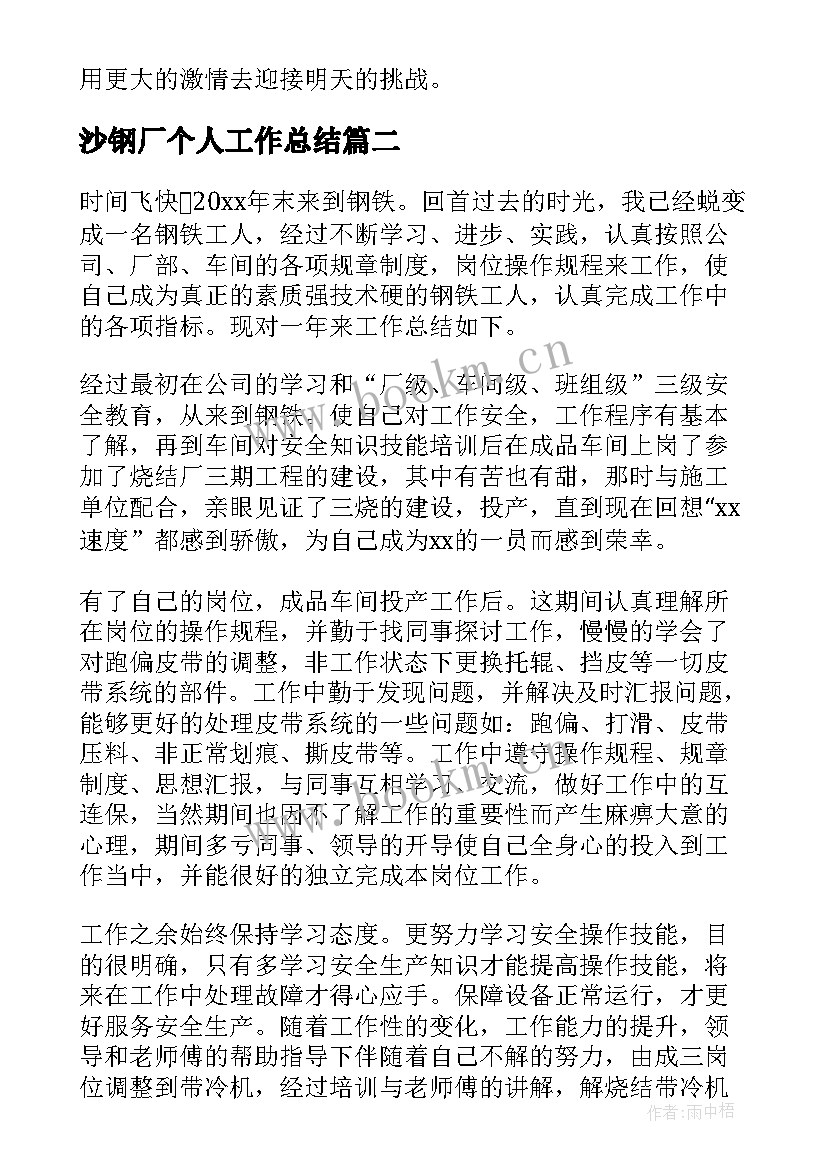 2023年沙钢厂个人工作总结 炼钢厂工作总结(模板5篇)