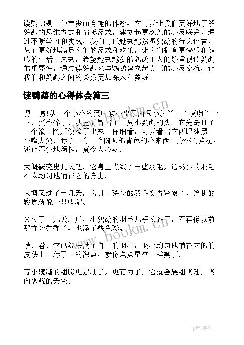 最新读鹦鹉的心得体会(实用5篇)