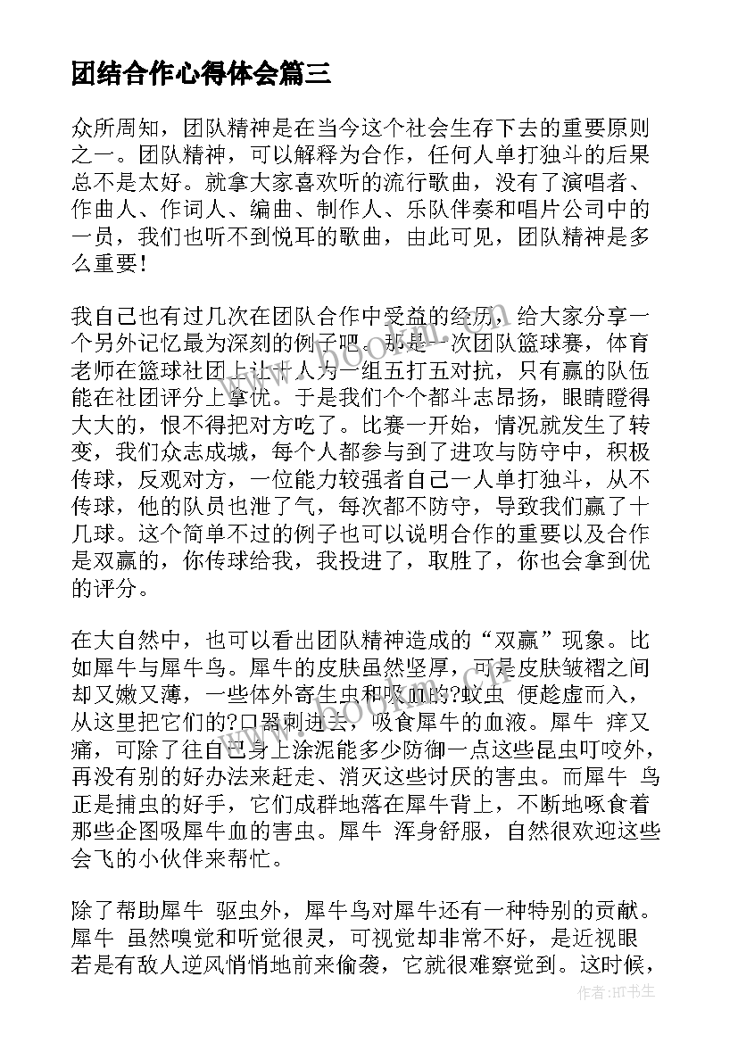 团结合作心得体会(模板5篇)