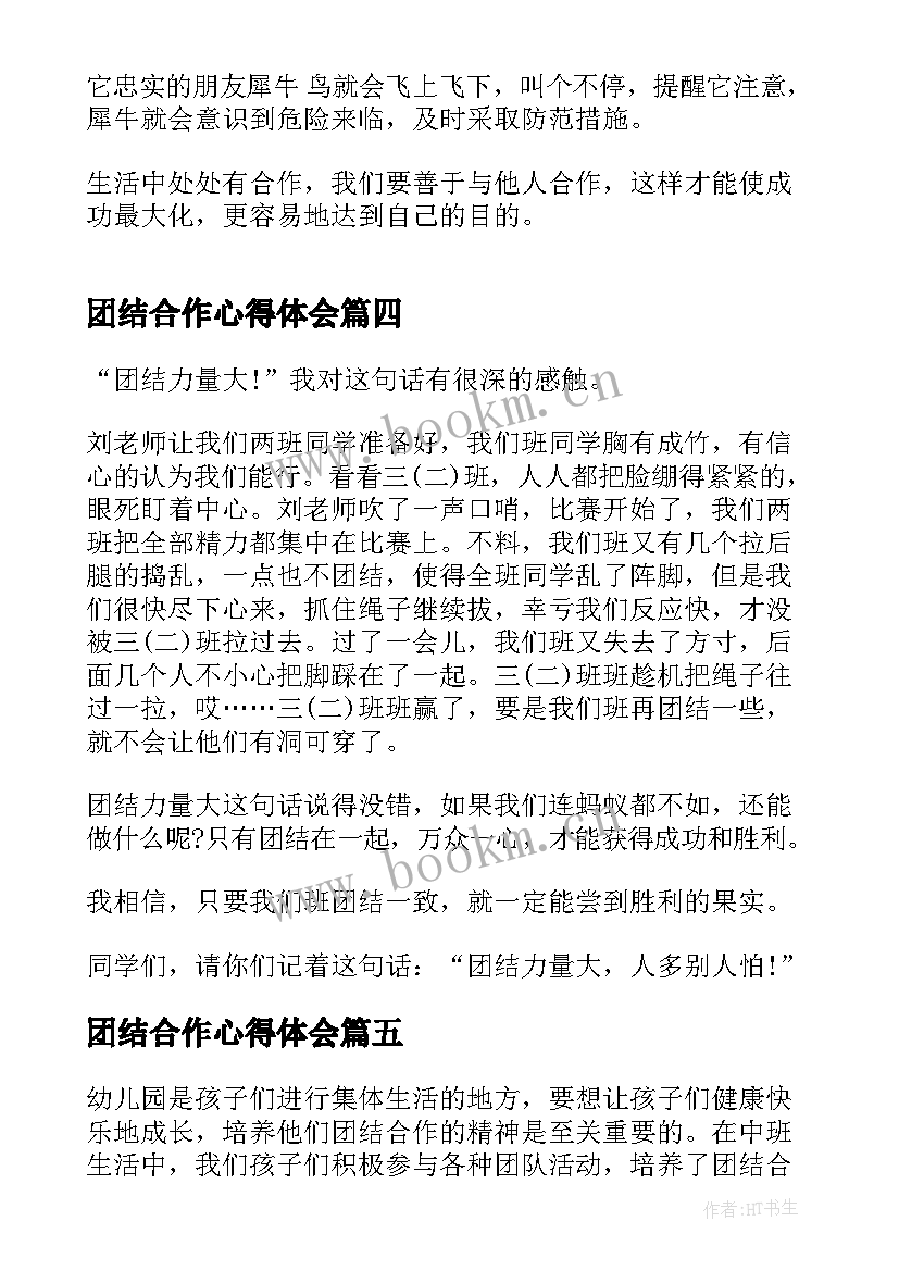 团结合作心得体会(模板5篇)