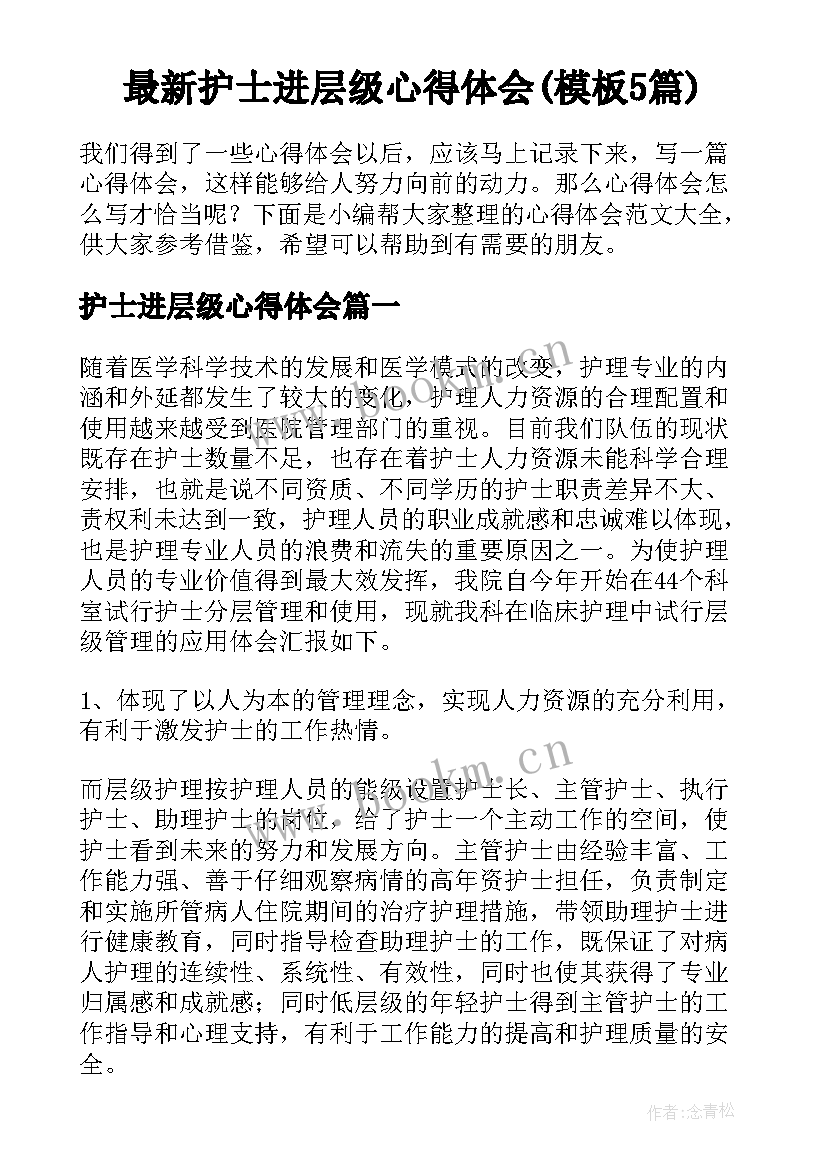 最新护士进层级心得体会(模板5篇)