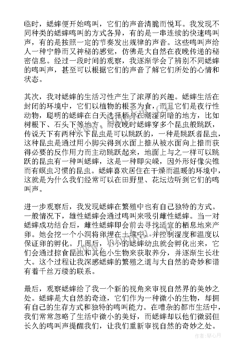 最新看蟋蟀心得体会(优质5篇)