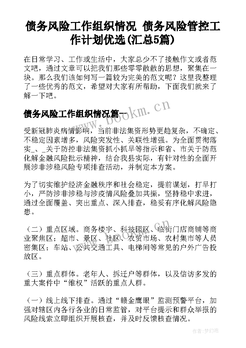 债务风险工作组织情况 债务风险管控工作计划优选(汇总5篇)