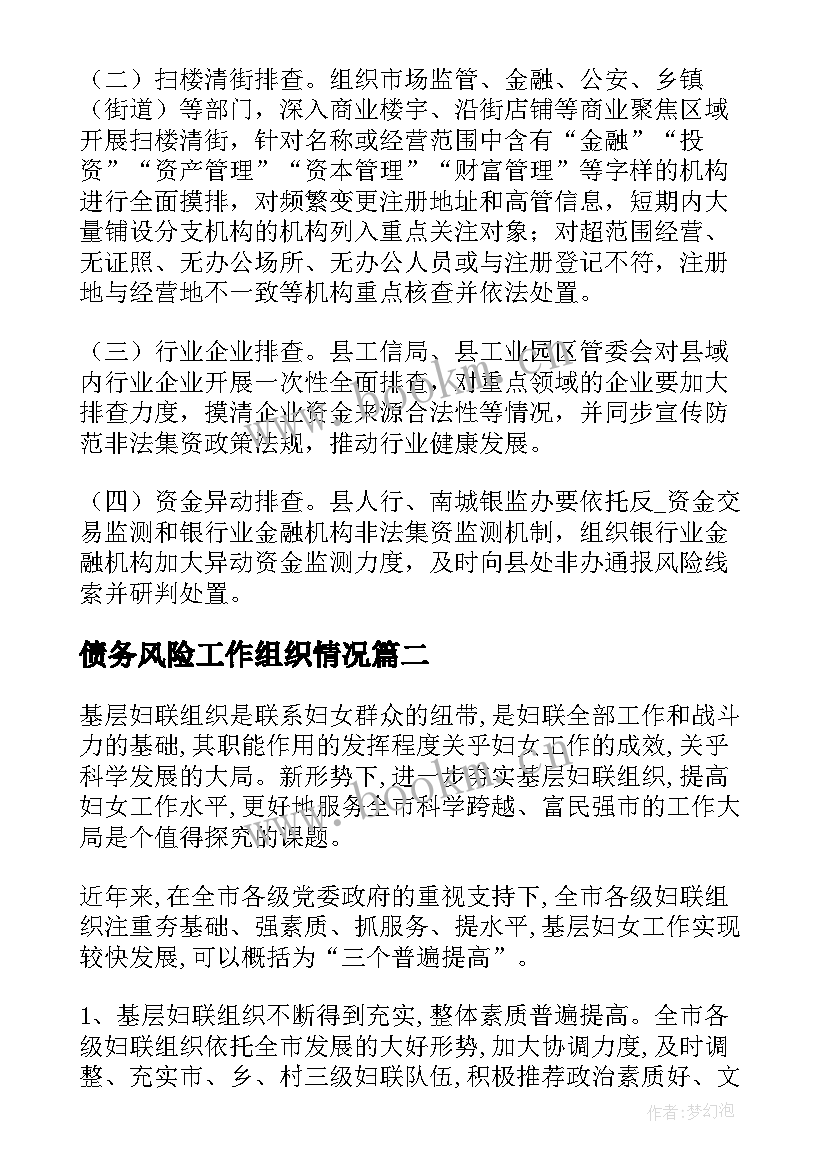 债务风险工作组织情况 债务风险管控工作计划优选(汇总5篇)