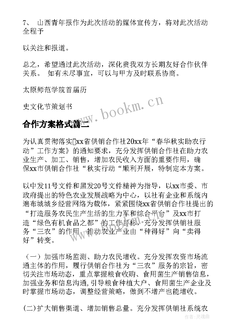 合作方案格式(模板7篇)