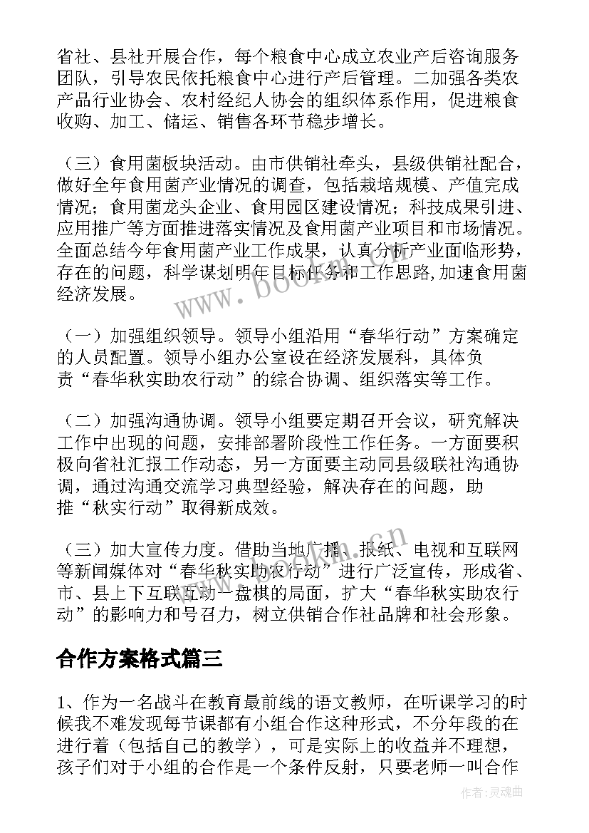 合作方案格式(模板7篇)