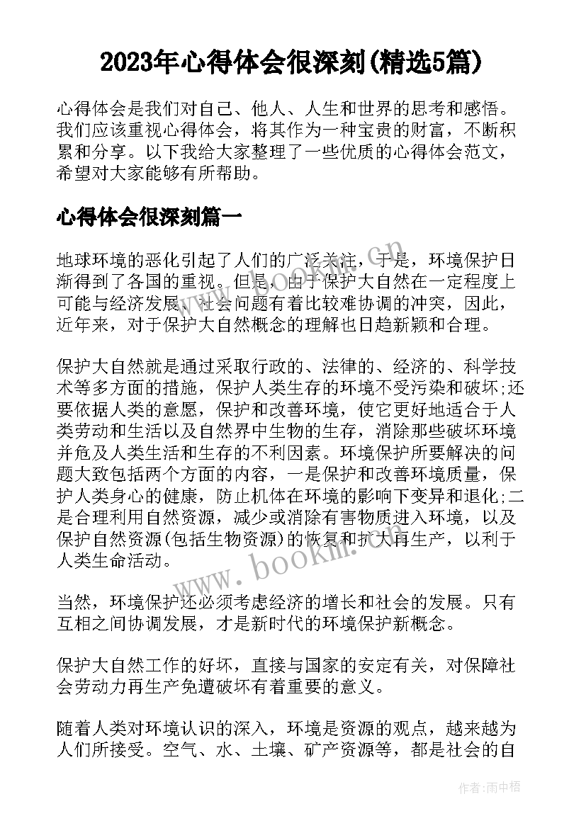 2023年心得体会很深刻(精选5篇)