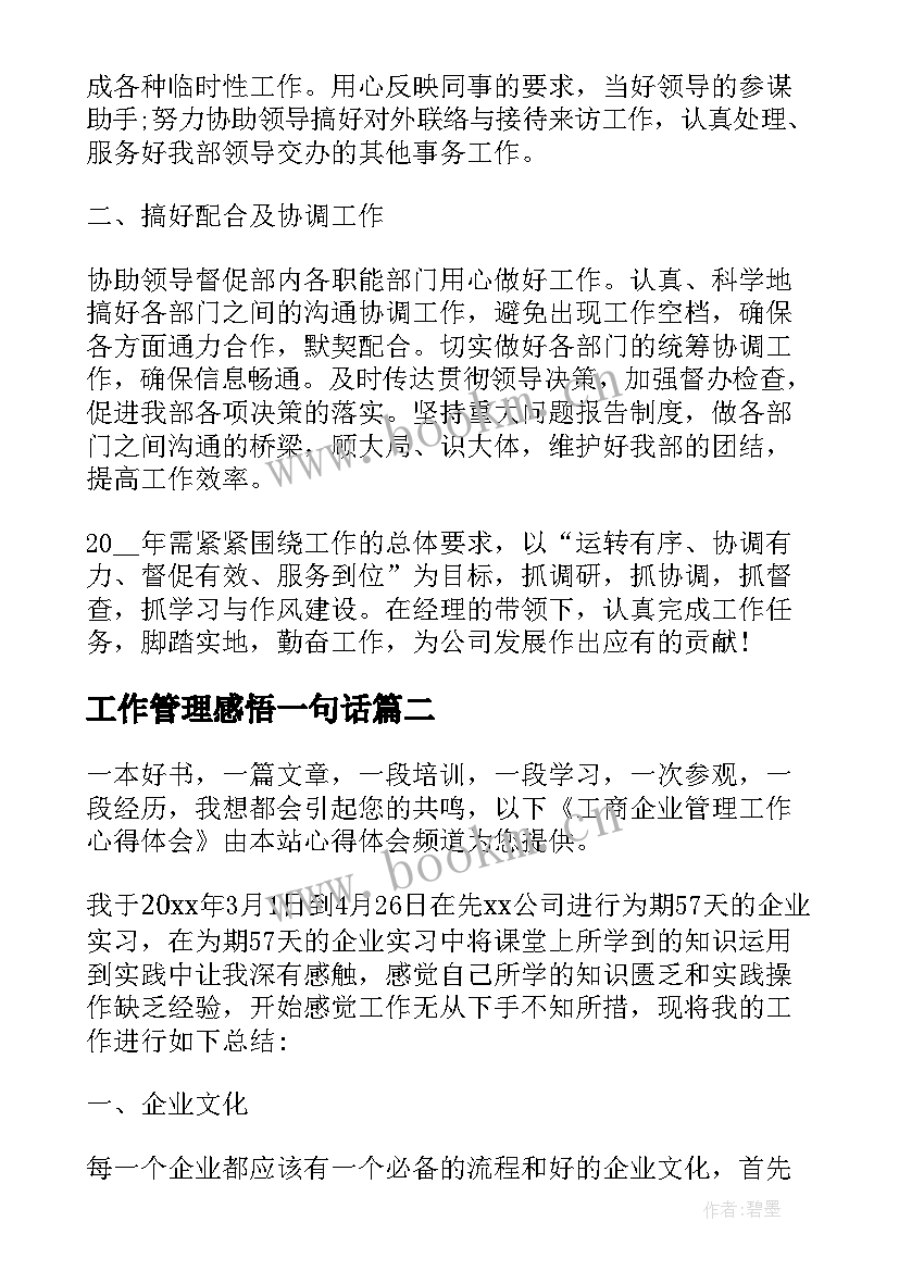 2023年工作管理感悟一句话(实用5篇)