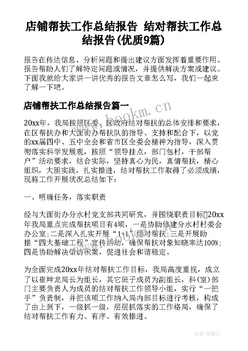 店铺帮扶工作总结报告 结对帮扶工作总结报告(优质9篇)